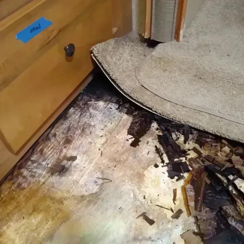 Best Wood Floor Water Damage Service in Maysville, MO